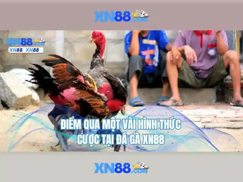 Trò chơi và trải nghiệm người dùng\n