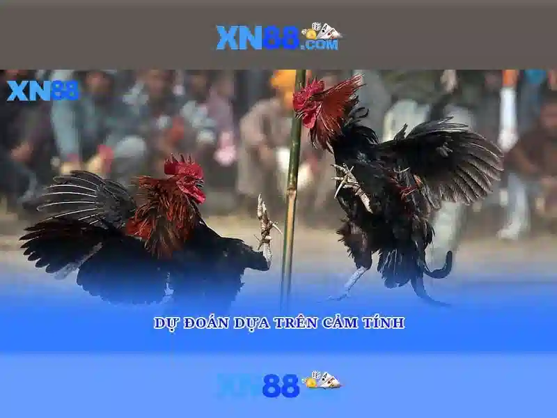 Tính năng nổi bật\n\n