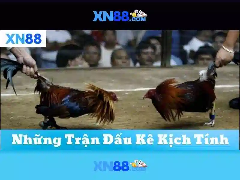 Giới thiệu về xn88\n