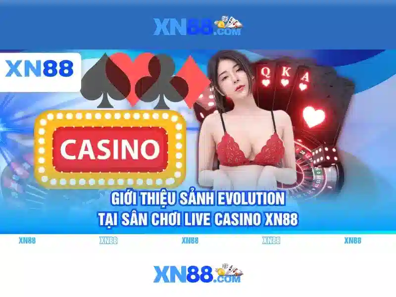 Sản phẩm và dịch vụ nổi bật