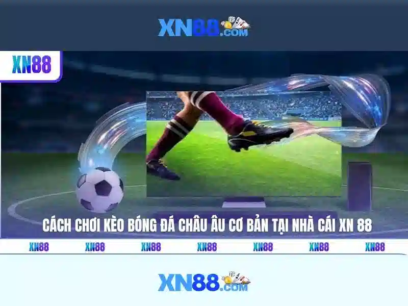 Lĩnh vực hoạt động của xn88