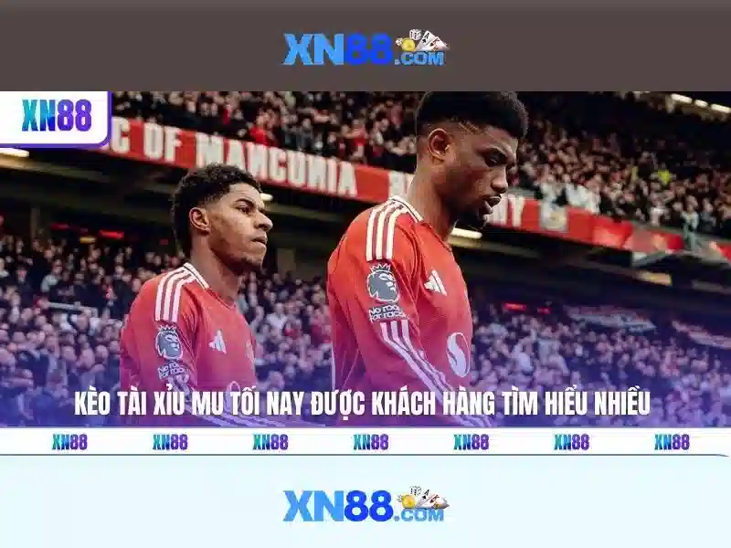 Tính năng nổi bật