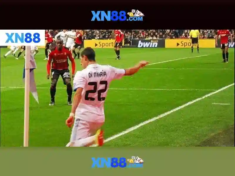 Nền tảng và dịch vụ