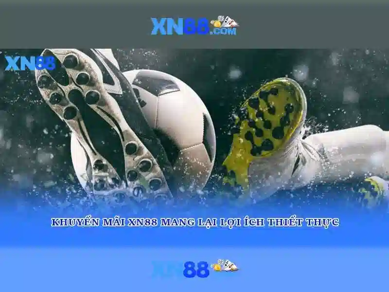 Nền tảng và dịch vụ