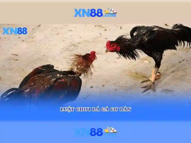 Nguồn gốc từ ngữ và sứ mệnh