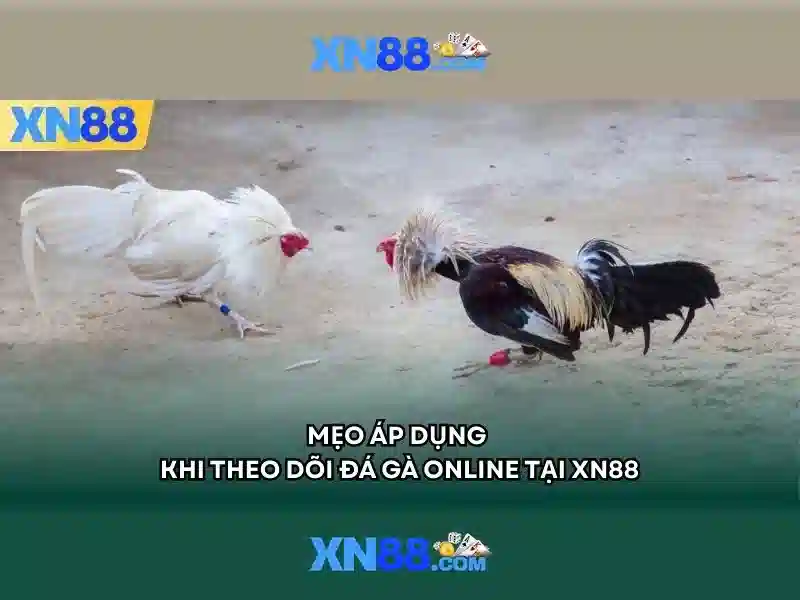 Trải nghiệm người chơi