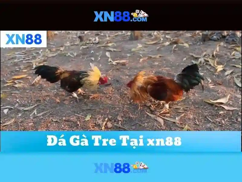 xn88 là gì và nhận diện trong thế giới đánh bạc trực tuyến