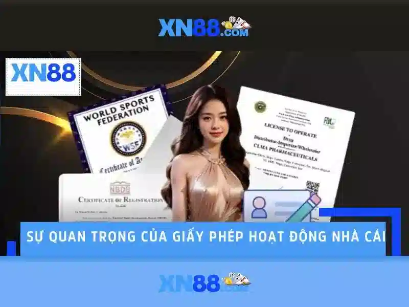 xn88-m***.com – Tổng quan và giá trị cốt lõi