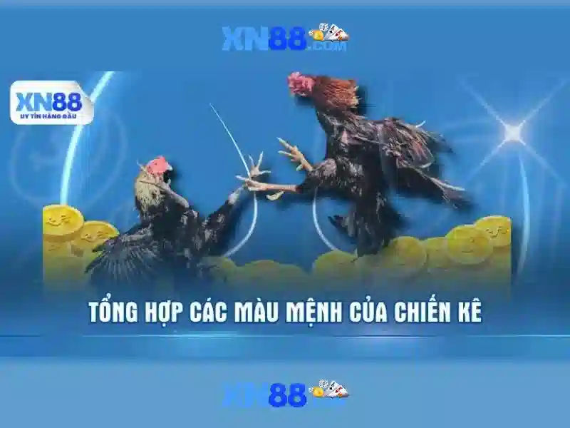 Các tính năng nổi bật của xn88