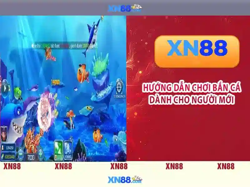 xn88-official: Hành trình thương hiệu và trải nghiệm