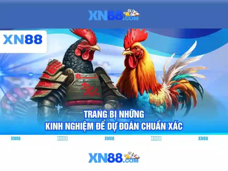 xn88 nhà cái - Trải nghiệm đỉnh cao an toàn và đẳng cấp