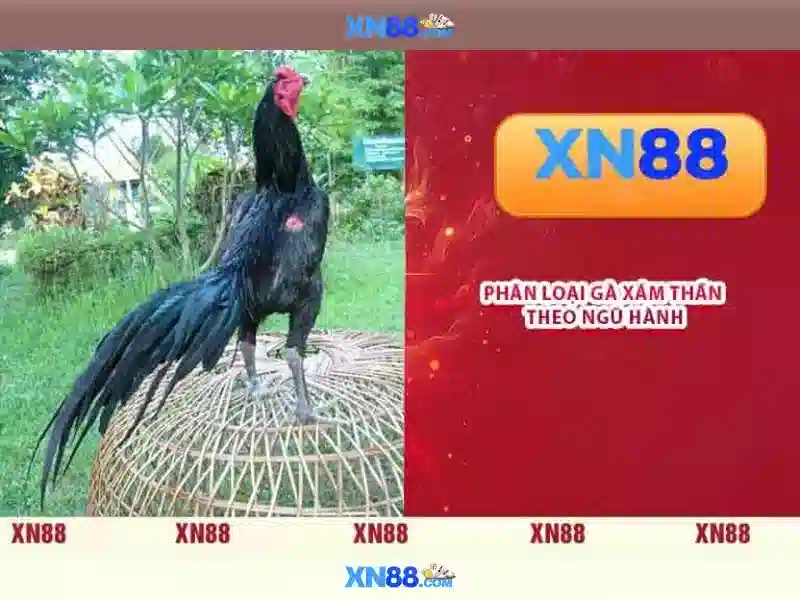 xn88 slot – Tổng quan và trải nghiệm người dùng
