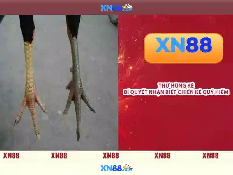 Ưu điểm và khả năng cạnh tranh