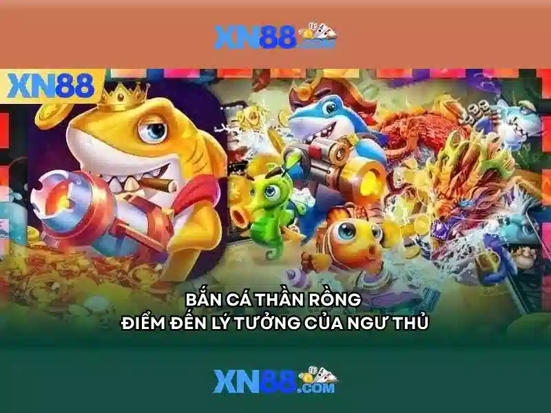 Giới thiệu về xn88