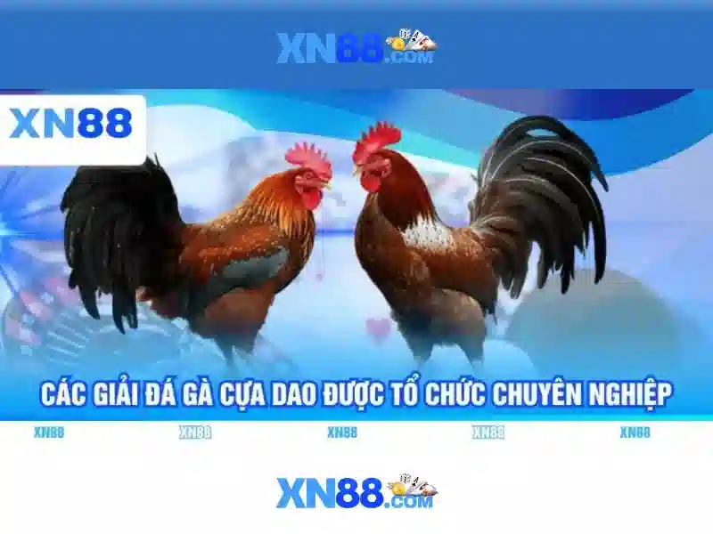 xn88 con: Tinh hoa thương hiệu và trải nghiệm người dùng