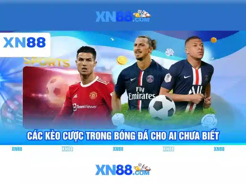 Nội dung 5: Tương tác và cộng đồng