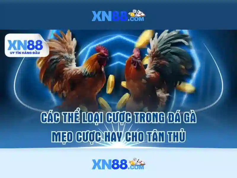 xn88: Tổng quan và các tính năng nổi bật