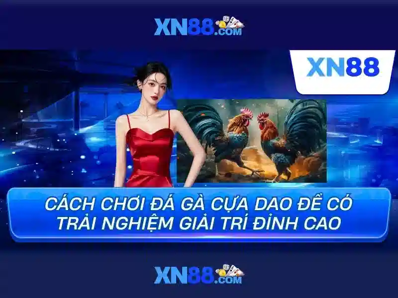 xn88 fit – Tổng quan thương hiệu và hành trình trải nghiệm