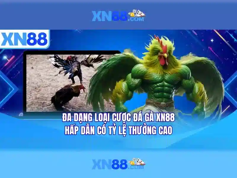 Các tính năng nổi bật của xn88