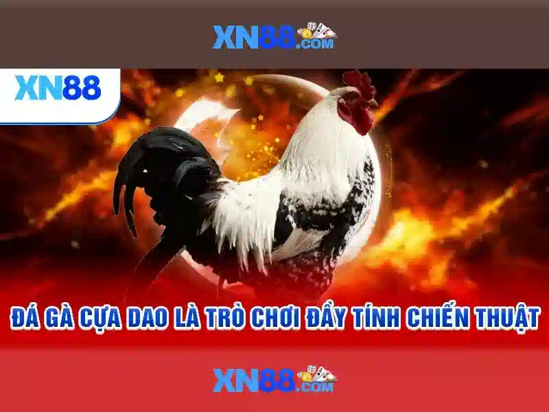 'xn88 đăng nhập – Tổng quan chủ đề và giá trị cốt lõi'