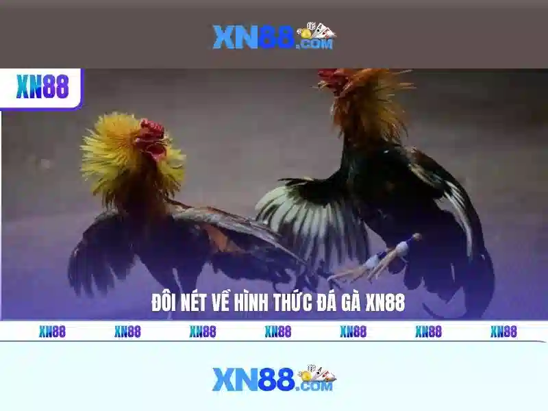 XN88: Giới thiệu nền tảng giải trí trực tuyến