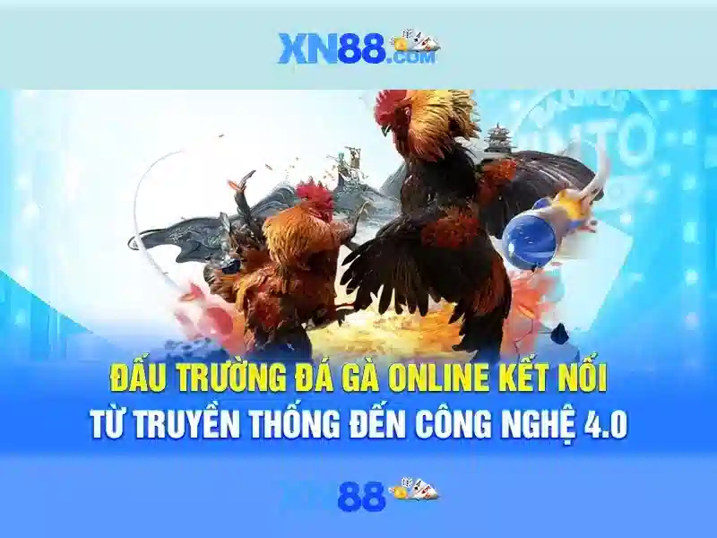 xn88: Nền tảng giải trí và cá cược trực tuyến hàng đầu
