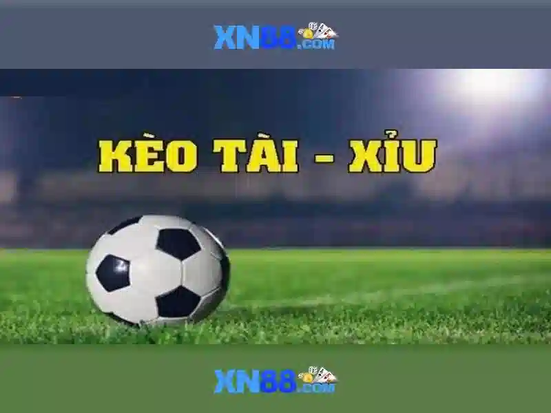 Giới thiệu về xn88