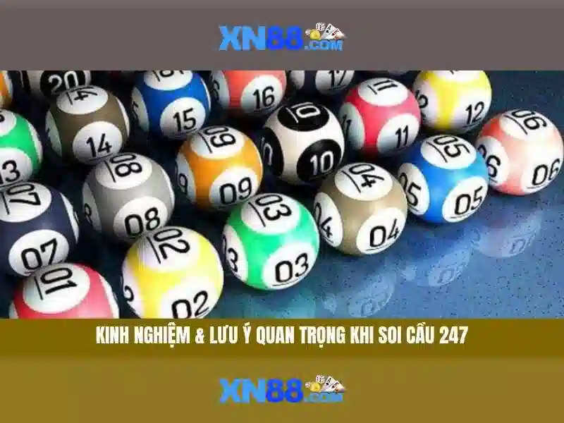 Lịch sử và tầm ảnh hưởng của XN88