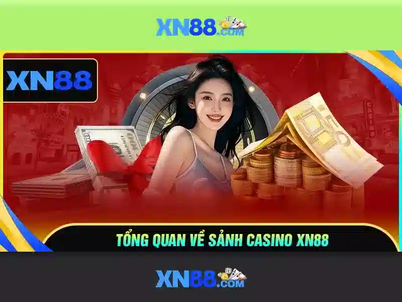 Lời kết và thử nghiệm