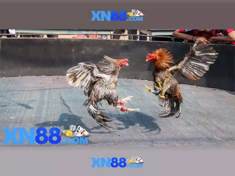 xn88: Gioi thieu ve nen tang tro choi truc tuyen