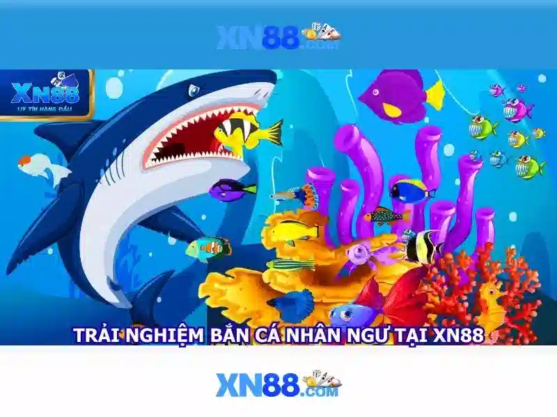 Nền tảng và tính năng