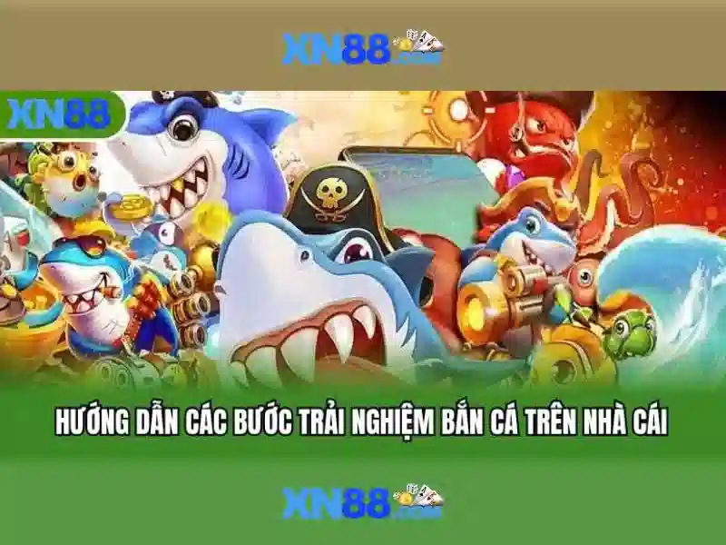Nền tảng và tính năng chính