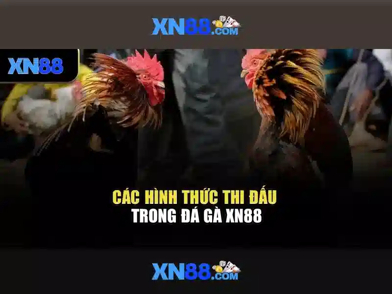 Giới thiệu về xn88