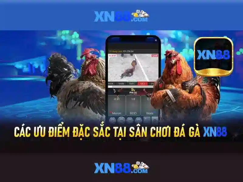 Cộng đồng và hỗ trợ\n\n