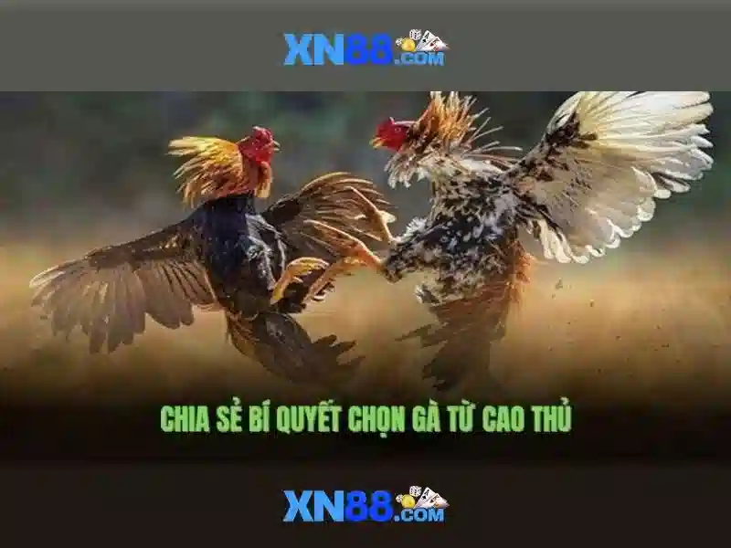Cài đặt và tính năng nổi bật