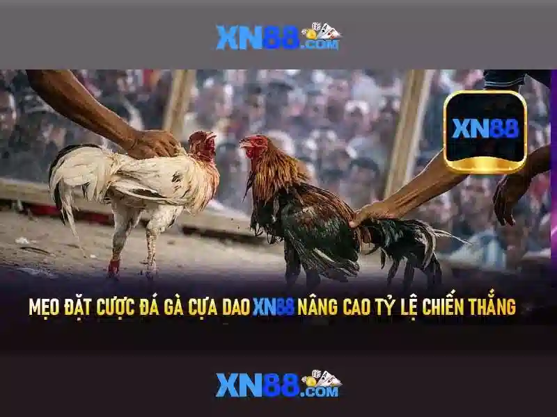 xn88: Nền tảng cá cược và giải trí trực tuyến