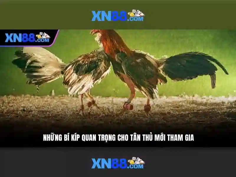 An toàn và bảo mật