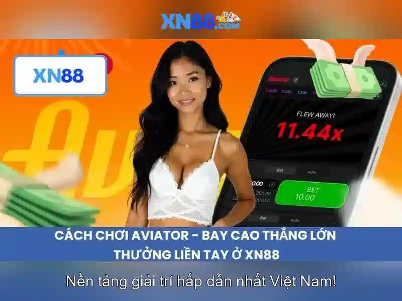 An toàn và hỗ trợ người chơi