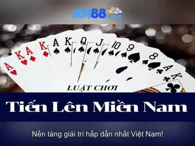Tác động xã hội và nhận định cuối cùng