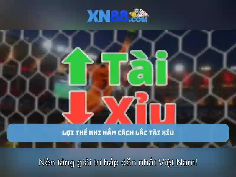Lưu ý và an toàn khi tham gia