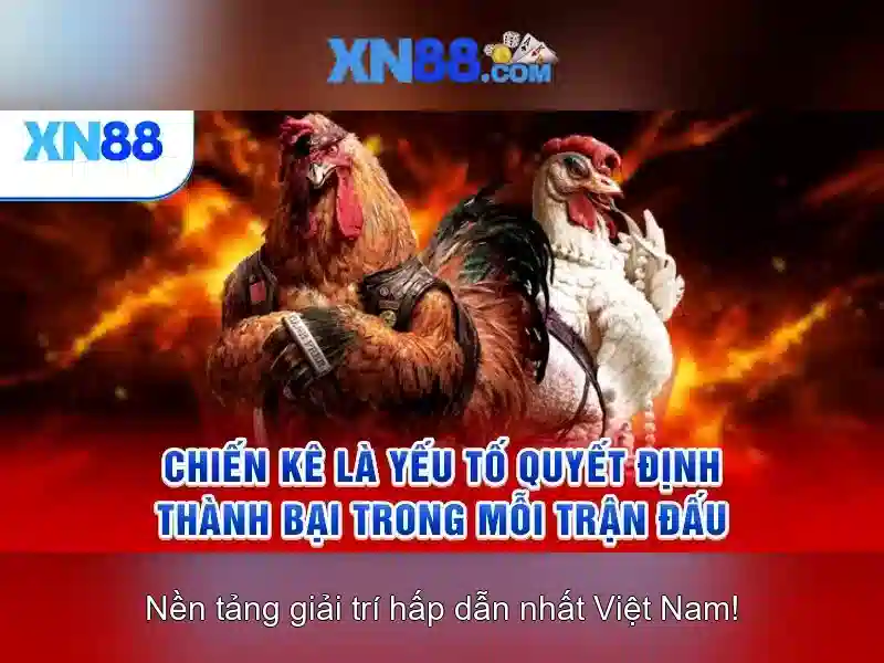 Khuyến mãi và hỗ trợ khách hàng