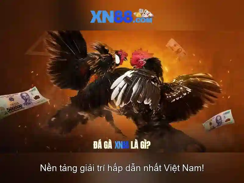 xn88 – Nền tảng giải trí và cá cược trực tuyến uy tín