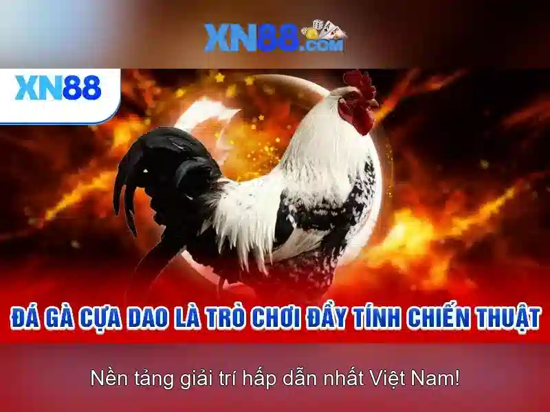 Tính năng và tiện ích
