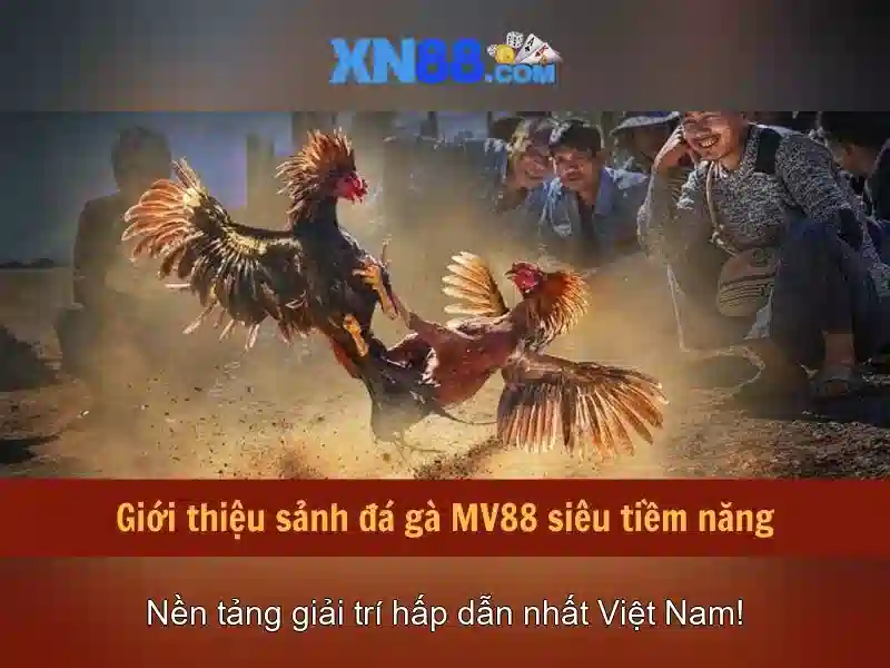 An toàn và chiến lược khi tham gia\n\n