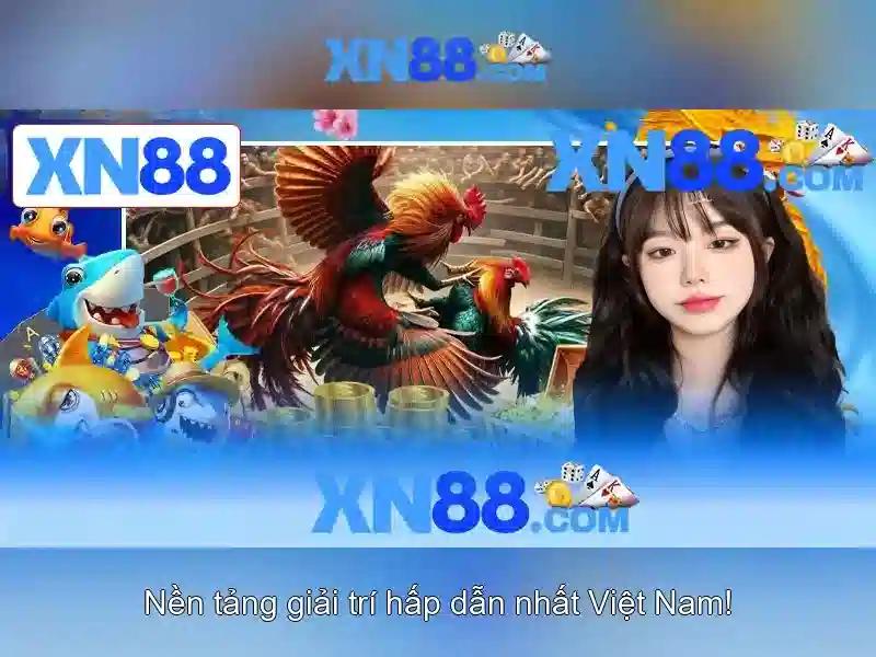 Giới thiệu về XN88\n