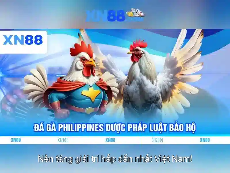 xn88: Tổng quan và cách tận hưởng trò chơi trực tuyến an toàn