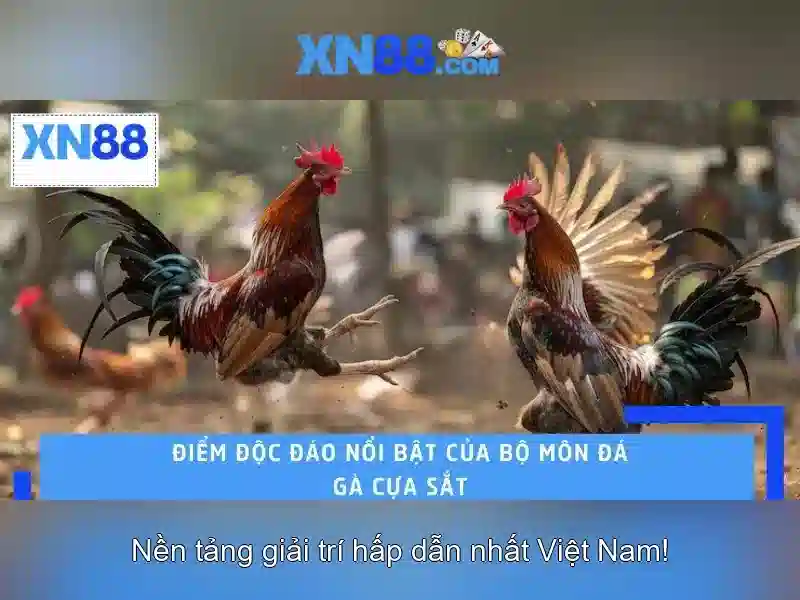 xn88 là gì?