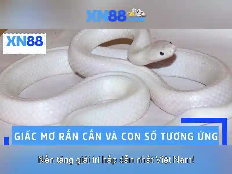 Phương thức thanh toán và khuyến mãi