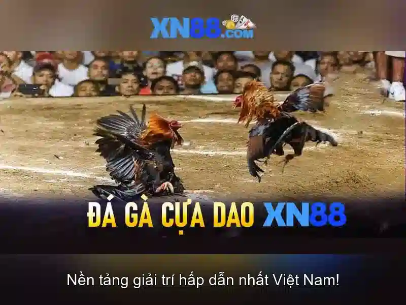 Giới thiệu về XN88\n\n