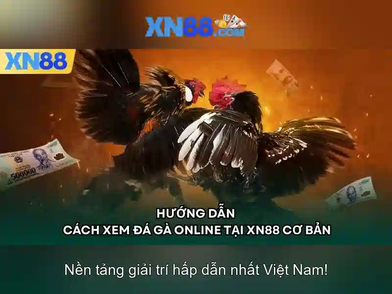 xn88 – Nền tảng cá cược trực tuyến và Đánh giá